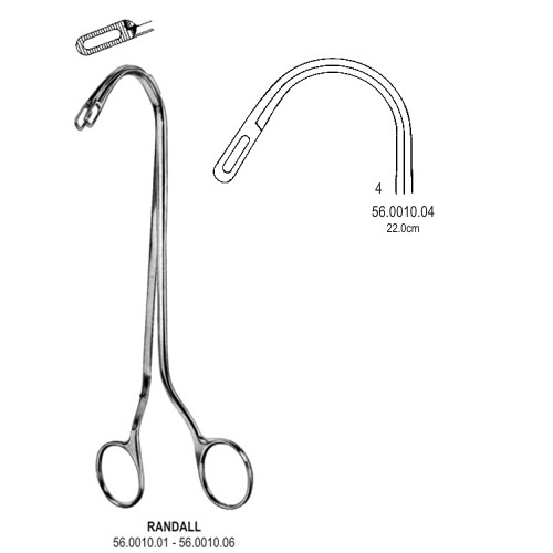 Gall Bladder